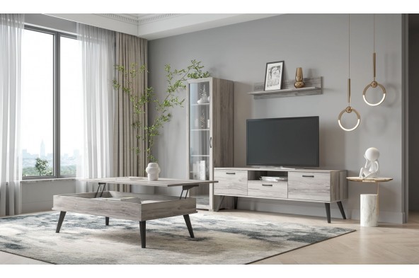 Composition of television Nemo N 55